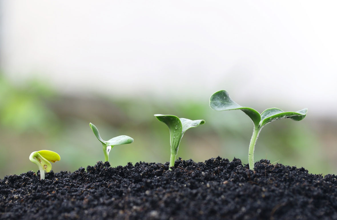 Mother daughter love bond - a real story of courage family ties and memories