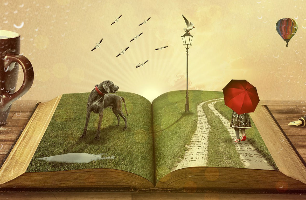 an essay on human libraries to understand humans better