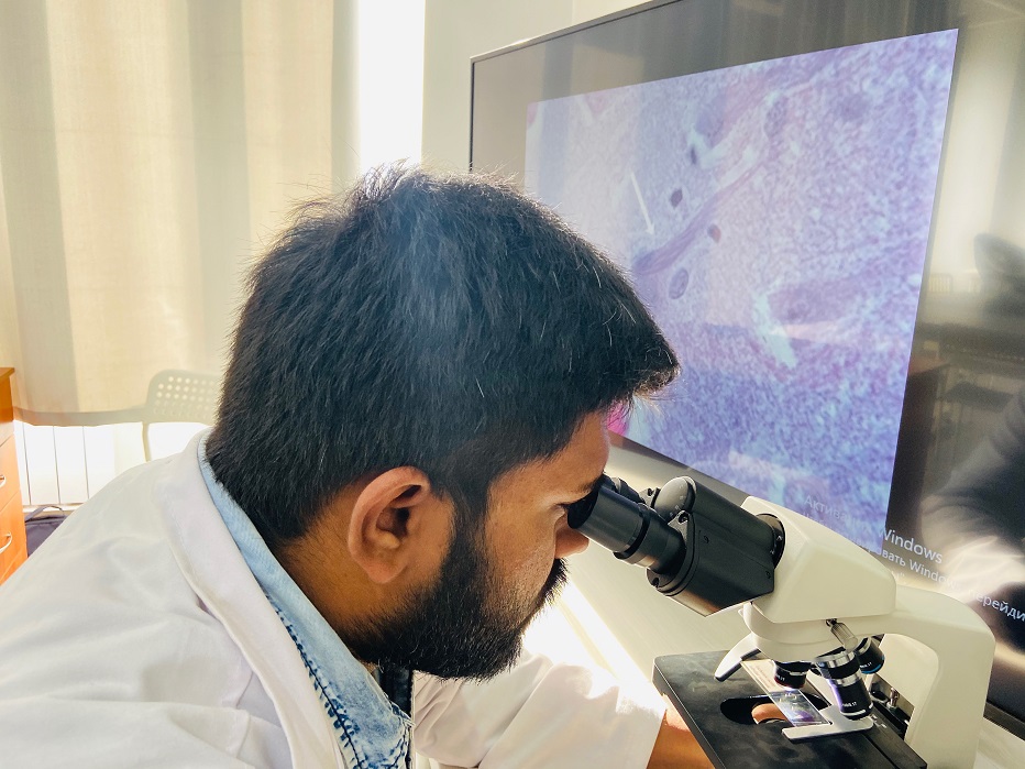 research storyofsouls