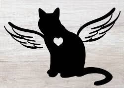 The heartache of putting a pet to sleep…