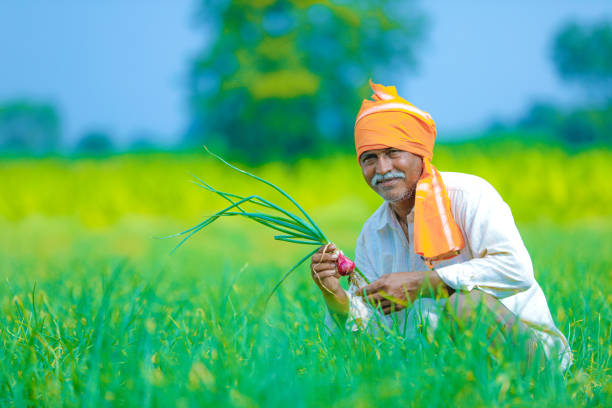 Poem : Tribute to the hardworking farmer of our country