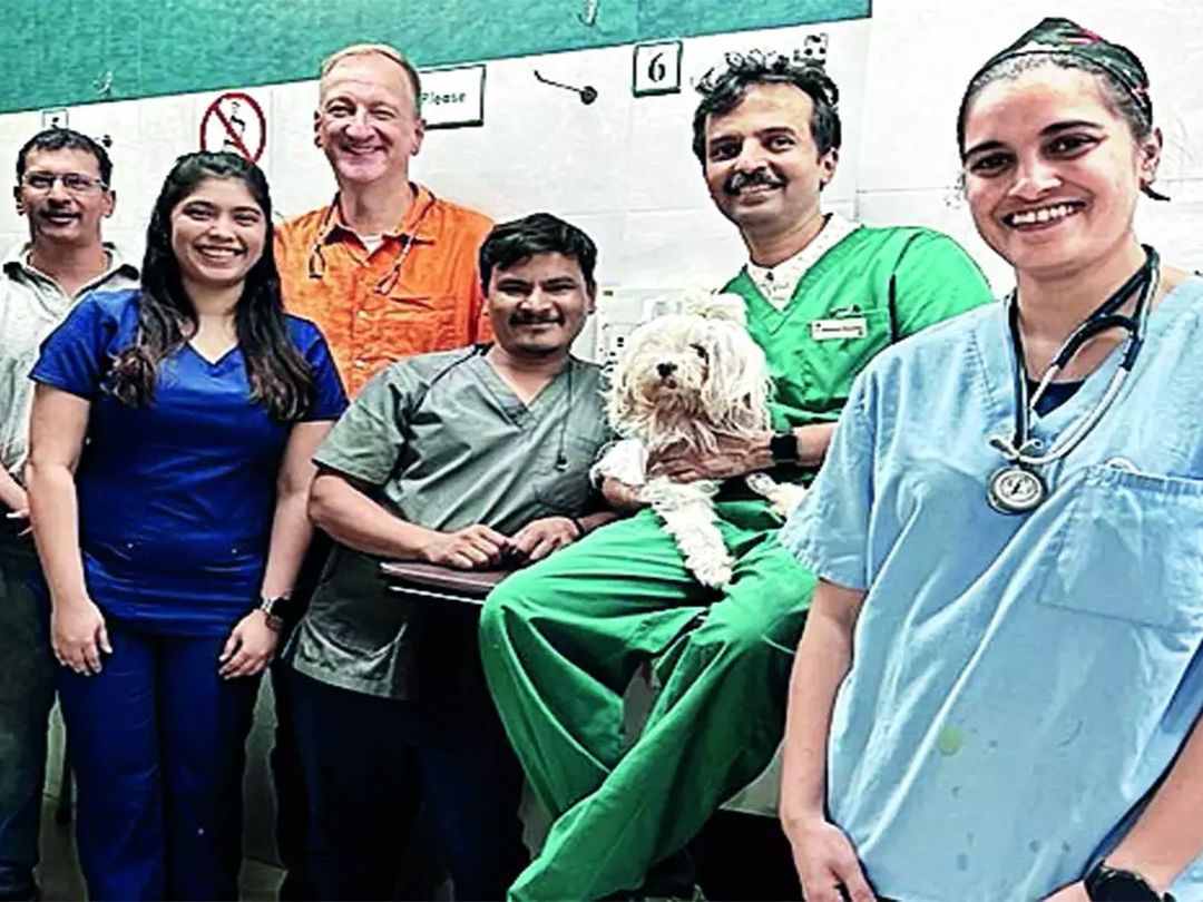 A dog’s best friend …