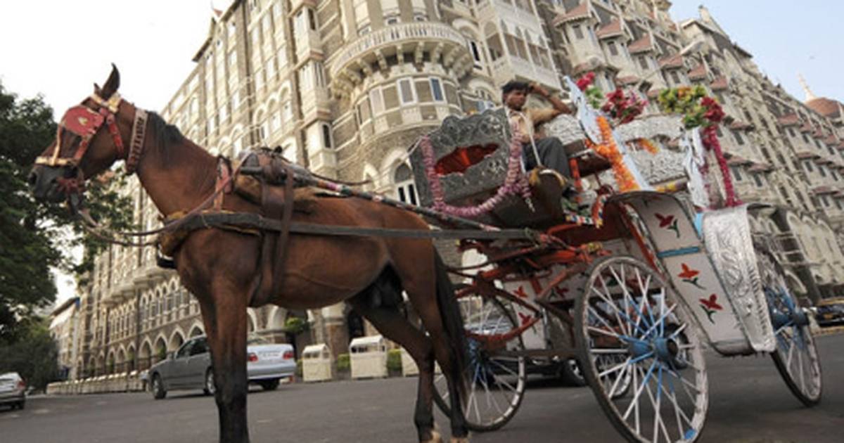 If wishes were horses, beggars would ride