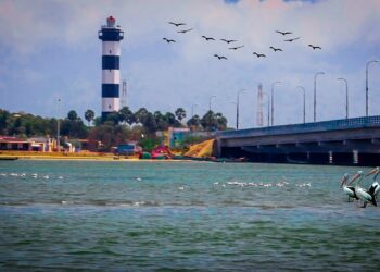 Next trip, the old Lighthouse of Pulicat