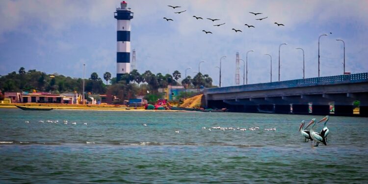 Next trip, the old Lighthouse of Pulicat