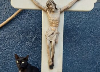 The Black Cat at the Cross and the Bad Omen it is meant to be