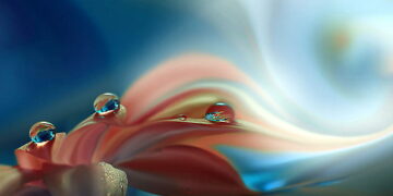 Love letters that are like dew drops