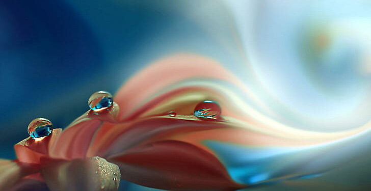 Love letters that are like dew drops