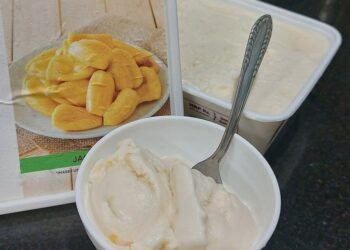 An Ice-cream made of Jackfruit!
