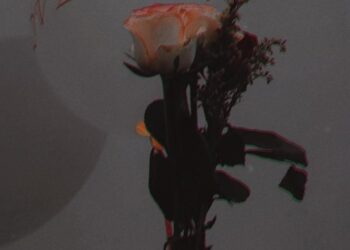 A Journey to Personal Growth and Success