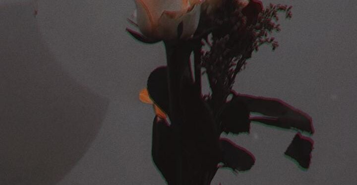 A Journey to Personal Growth and Success