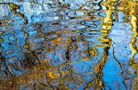 Reflection