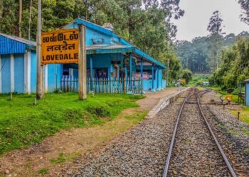 Lovedale in the Blue Mountains