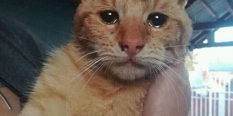 A picture of tears and heartbreak…