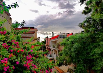 A Diary of Hope, Healing, and Holding On