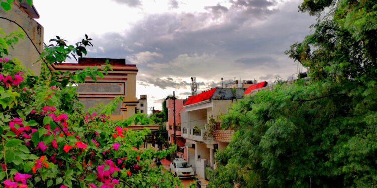 A Diary of Hope, Healing, and Holding On