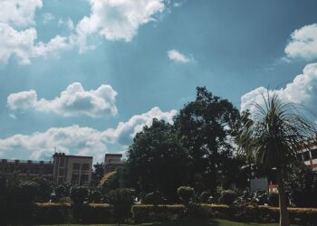 The Transformative Power of Thankfulness