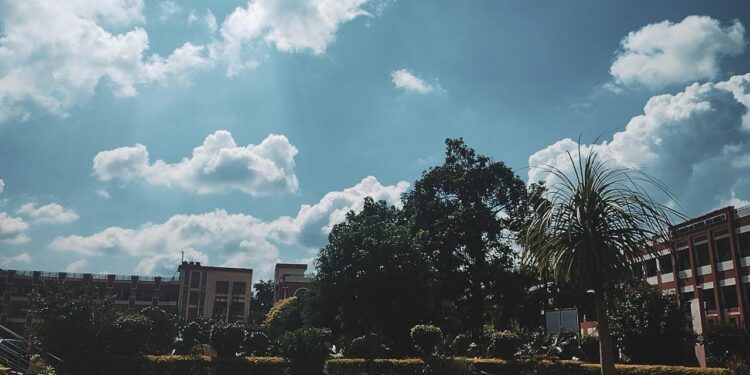 The Transformative Power of Thankfulness