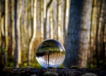 Spiritual Practice in Achieving Life Satisfaction and Success