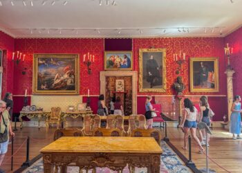 आदित्य का अद्भुत हुनर