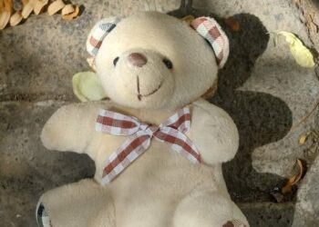 The Teddy Nobody Wanted…