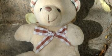 The Teddy Nobody Wanted…