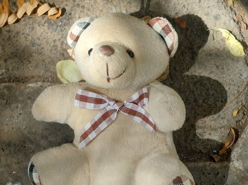 The Teddy Nobody Wanted…