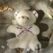 The Teddy Nobody Wanted…