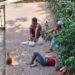 When Labourers Put Their Feet Up…