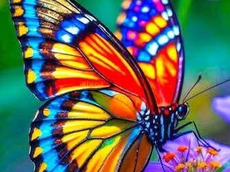 And a Sermon for Sunday…