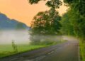The Art of Living Well