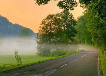 The Art of Living Well