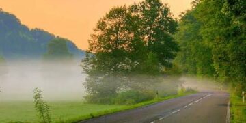The Art of Living Well